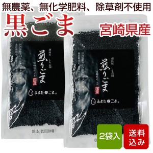 国産ごま 黒ごま 煎りごま 2袋入 無農薬 無化学肥料 除草剤不使用 宮崎県産 メール便