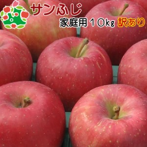 りんご 訳あり 青森県産 サンふじ 家庭用 キズあり 10kg 送料無料 産地直送 産直自宅用 ワケあり お試し 試食 食べ物 旬の くだもの 果物