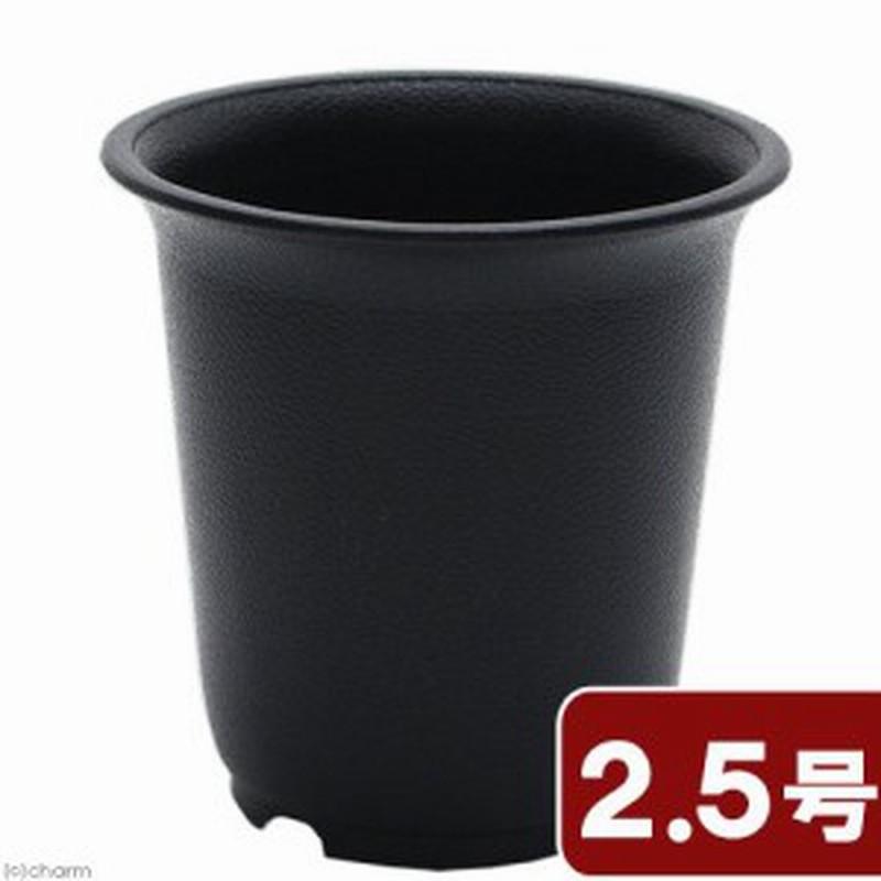 プラ鉢 ２ ５号 黒 多肉植物 植え替え 通販 Lineポイント最大1 0 Get Lineショッピング