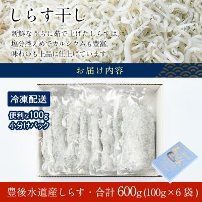 ふるさと納税 佐伯市  豊後水道産 しらす (合計600g・100g×6袋)