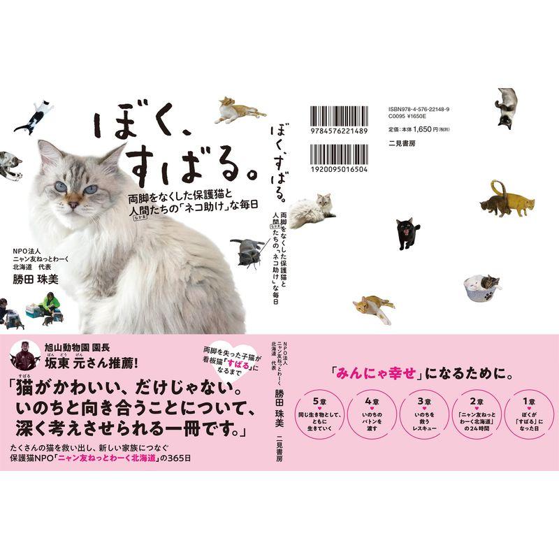 ぼく、すばる。両脚をなくした保護猫と人間たちの「ネコ助け」な毎日