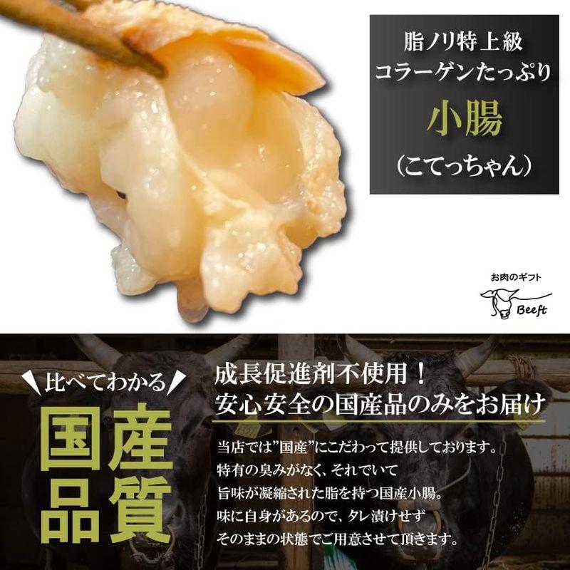 国産牛 小腸 720g(180g×4)   冷凍発送 国産ホルモン もつ鍋 焼肉 バーベキュー おつまみ