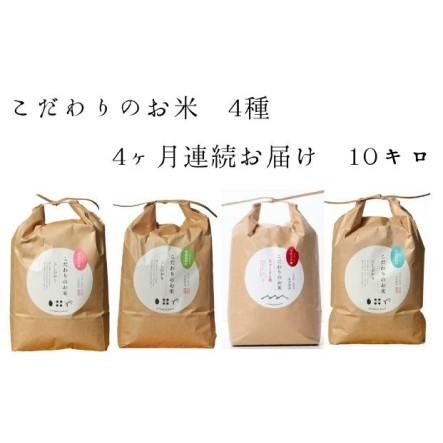 ふるさと納税 北本農場 「こだわりのお米」 令和5年度産　精米 10kg 石川県能美市