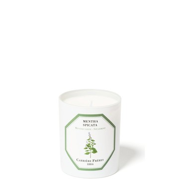 Carrière Frères Scented Candle Spearmint - Mentha Spicata - 6.5 oz