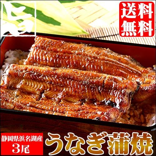 お歳暮 うなぎ ギフト 送料無料 静岡県 浜松・浜名湖産うなぎセット(3尾入り)   御歳暮 冬ギフト 高級 国産うなぎ 国内産 鰻 蒲焼き 内祝い お返し