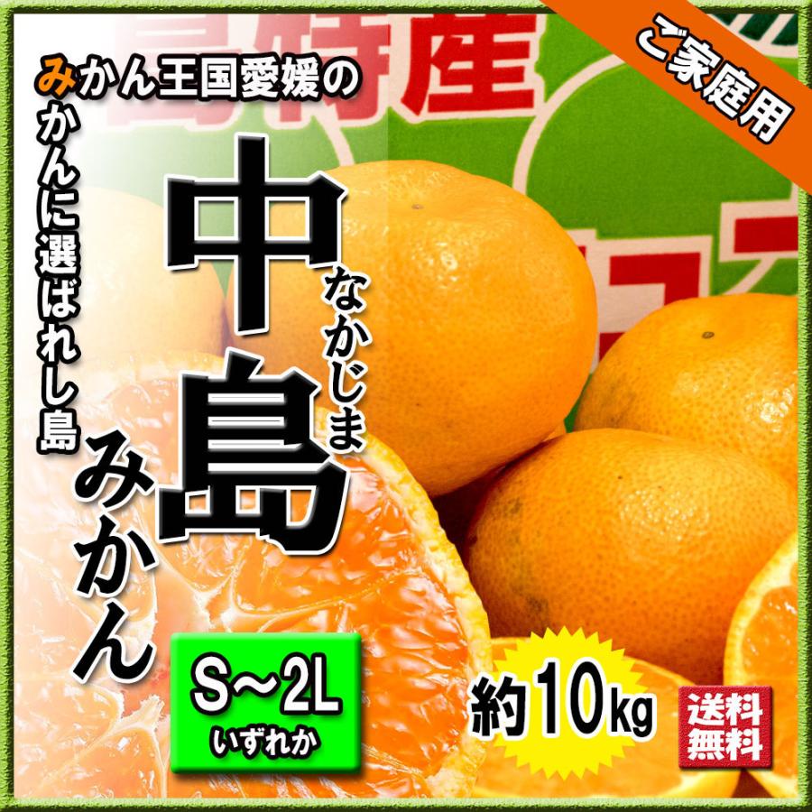 みかん 箱買い 中島みかん 中島 家庭用 愛媛みかん 送料無料 約10ｋｇ S〜2L いずれか 温州みかん