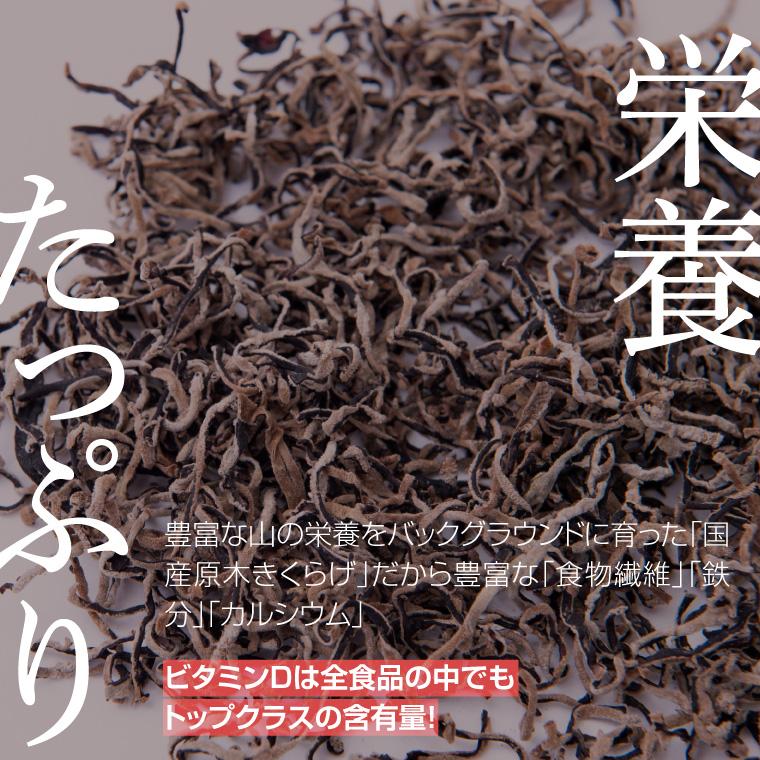 きくらげ スライス 50g 原木栽培 自然栽培 国産 無農薬 乾燥きくらげ キクラゲ 乾燥きのこ