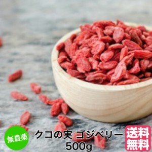 無農薬クコの実 500ｇ  有機JAS USDA取得原料使用 ドライゴジベリー GOJIBERRY 寧夏産 枸杞の実 くこの実  スーパーフード オーガニック