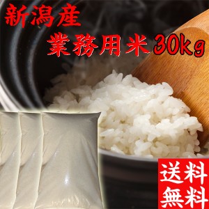 新米 令和5年 新潟産 米 30kg 送料無料 新潟米 業務用 米 30kg 送料無料 新潟県産訳あり米 30kg お米 業務用30kg お得