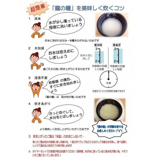 米　令和5年度産　岐阜県産　龍の瞳(いのちの壱) 1kg