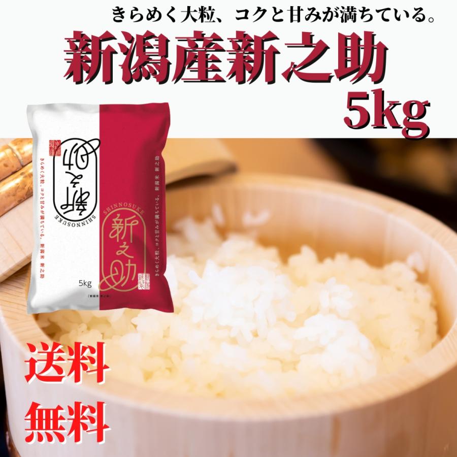 新米 令和５年産 米 お米 新潟県産 新之助 5kg 精米 送料無料