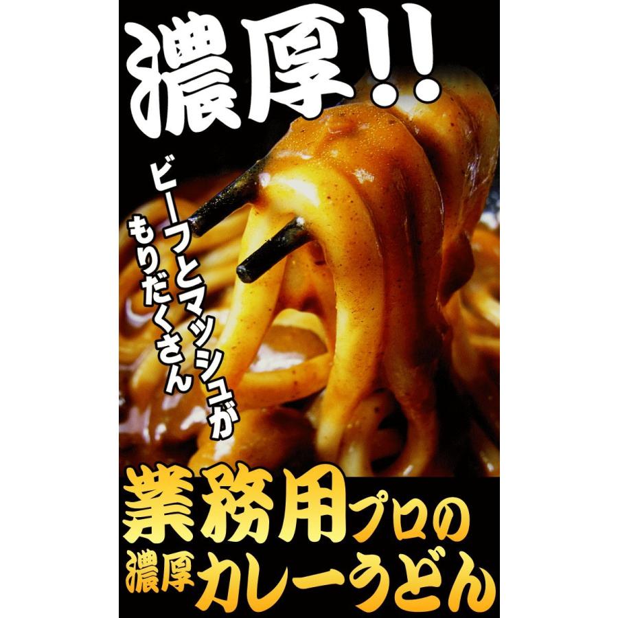  特選　業務用　濃厚　カレーうどん　 ６人用 讃岐うどん 細麺