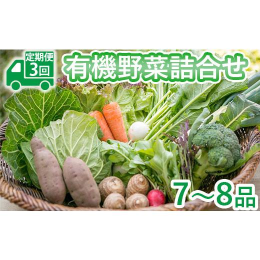 ふるさと納税 栃木県 壬生町 限定10セット＜定期便3回＞有機野菜7〜8品 5月〜12月発送（9月をのぞく）詰め合わせ 野菜 新鮮 有機JAS認証※着日指定不可※北海…