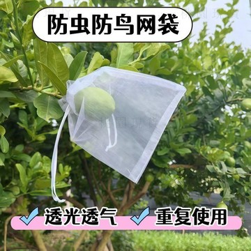 現貸隔日達602💥尼龍倆邊抽繩網紗水果套袋防鳥防蟲結實耐用葡萄梨子可反覆使用