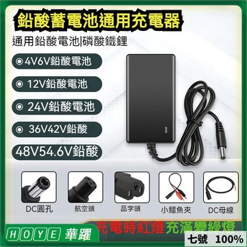 免運費🚀 鉛酸鐵鋰蓄電池 電子秤充電器 通用鉛酸鐵鋰電池 4V 6V 7.5V 12V V 36V 42V🔥GWJ