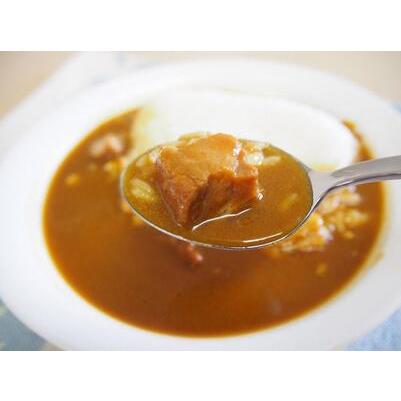 ふるさと納税 旨柿・熊野豚ポークカレー 10食セット 和歌山県かつらぎ町