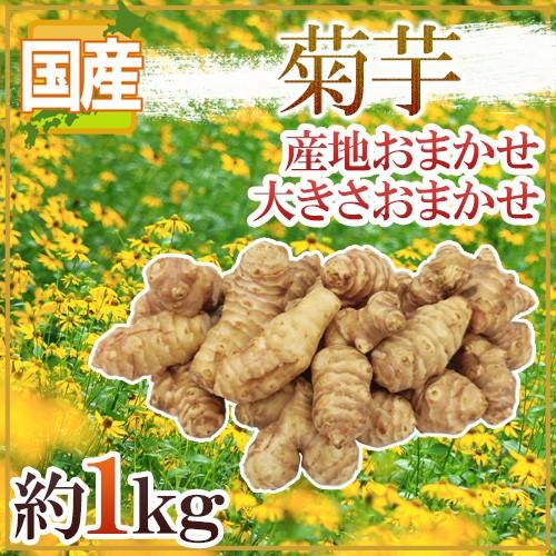 ”菊芋” 約1kg 大きさおまかせ 産地厳選 キクイモ 送料無料