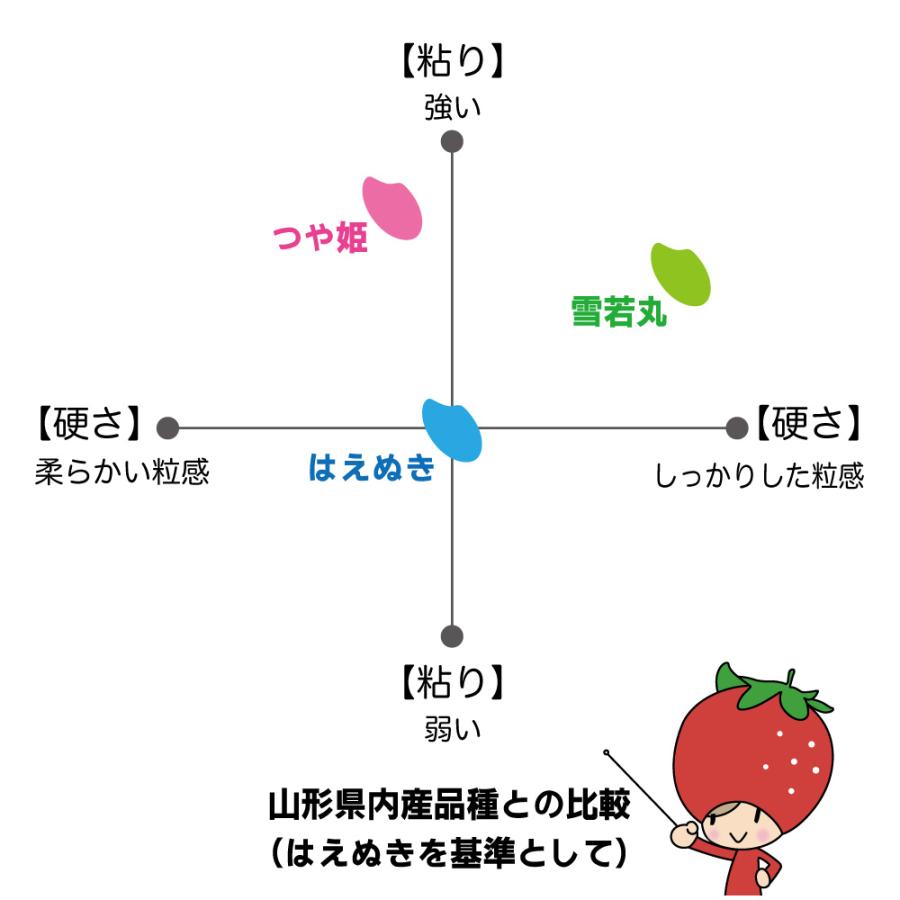 新米 10kg （5kg×2袋） つや姫・はえぬき 食べ比べセット 山形県 令和5年産  お米 送料無料（一部地域を除く）精白米 ギフト 贈り物 のし無料