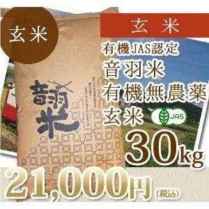 令和5年度愛知県産音羽米　無農薬玄米３０kg（5kg×6個）