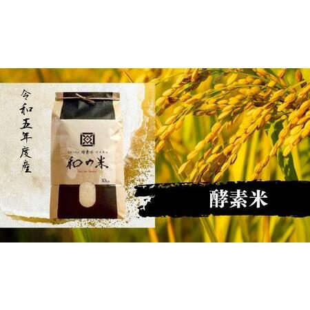 ふるさと納税 ＼令和5年産／和の米　「酵素米」　玄米10kg 茨城県利根町