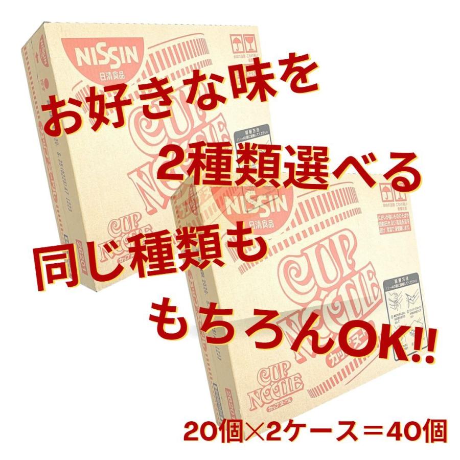 日清　カップヌードル レギュラーサイズ 各種　選べる　2ケース 40個　カップラーメン