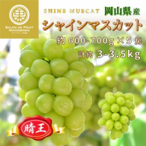 [最短順次発送]  シャインマスカット 晴王 計約3kg 約600-700g×5 岡山県産 大粒 はれおう マスカット 高糖度 果実 夏ギフト 夏ギフト お