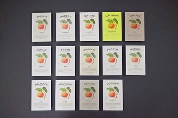 風格紙樣品 一套14款