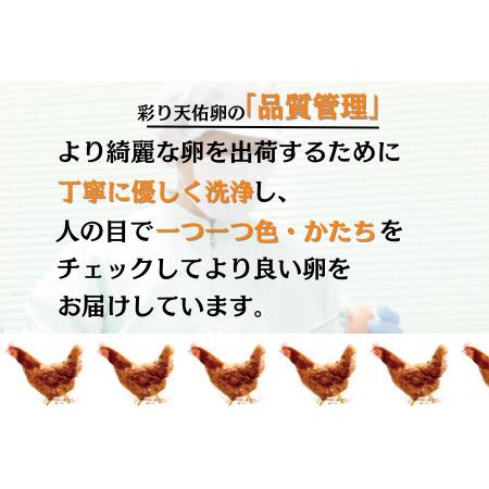 ふるさと納税 平飼い八雲鶏卵　彩り天佑卵 10個×3パック 定期便卵30個 月 卵合計180個 卵6回定期便 おいしい卵.. 島根県雲南市