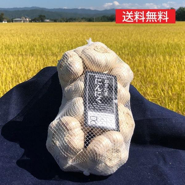 山形の生にんにく約1kg[ネット入]