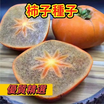 台灣現貨（柿子種子）柿樹種子 黑柿子樹籽 冰糖柿子 軟棗種子 香甜多汁 新手易種 #果樹種子#水果種籽