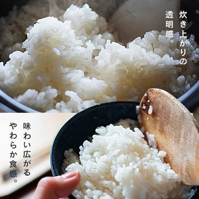 米 300g 無洗米 生鮮米 一人暮らし お米 精白米 うるち米 なな