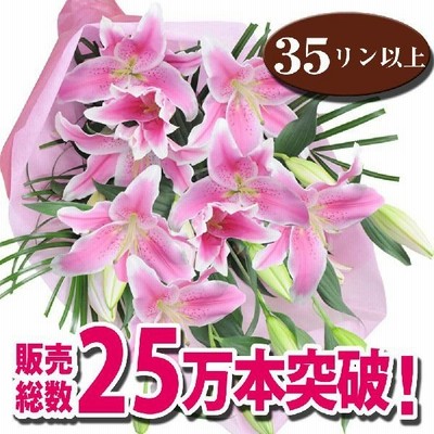 父の日 花 ギフトピンクユリ 花束 ユリ 花束 プレゼント 花束 花束 送料無料 百合 花束 ピンク ユリの花束 大輪系 25輪以上 通販 Lineポイント最大get Lineショッピング