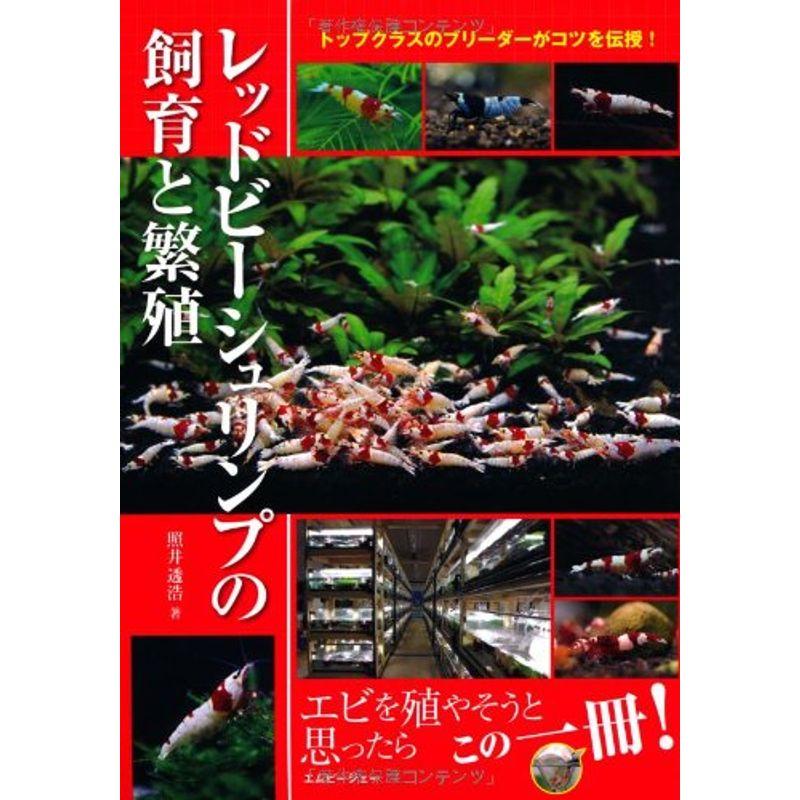 レッドビーシュリンプの飼育と繁殖