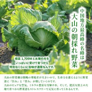 ふるさと納税 MS-01　新鮮朝採れ野菜　お手ごろセット 鳥取県大山町