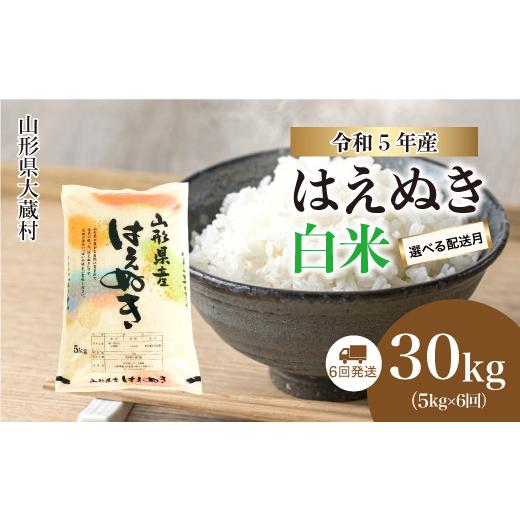 ふるさと納税 山形県 大蔵村 令和5年産 大蔵村 はえぬき  定期便 30kg （5kg×1か月間隔で6回お届け）