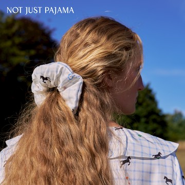 Not Just Pajama Pony小馬系列 真絲幸運符髮圈/桑蠶絲大腸圈 - 藍色格紋馬印花