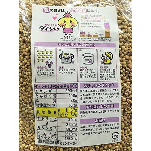 讃岐もち麦ダイシモチ　500ｇ　原材料 裸麦  [並行輸入品]