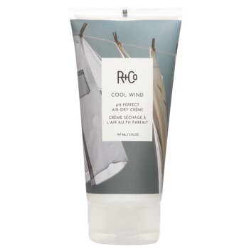 【R+Co】Cool Wind PH 完美吹乾髮霜