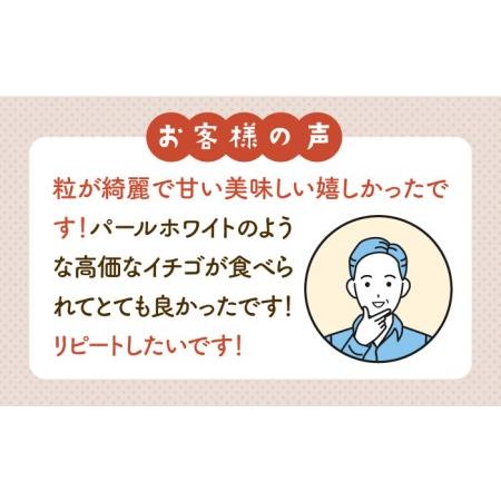 ふるさと納税 赤白いちご「いちごさん」＆「パールホワイト」化粧箱 約330g以上[IBG001] 佐賀県白石町