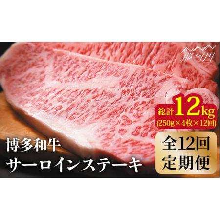 ふるさと納税 博多和牛 牛肉 サーロイン ステーキ 1kg（250g×4枚）＜株式会社MEAT PLUS＞那珂川市 定期便 牛肉 肉 黒毛.. 福岡県那珂川市