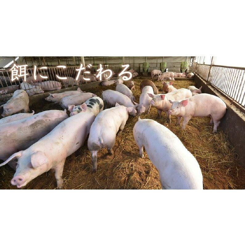 ギフト 宮崎県産きじょん山豚 しゃぶしゃぶ用 肩ロース 600g 3人前  ギフト対応可 送料無料 グルメ Y凍