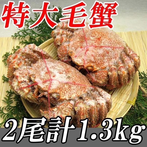 北海道産 特大毛蟹 2尾セット 計1.3kg 1尾平均650ｇ ケガニ 毛ガニ) 冷凍便 お取り寄せ