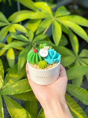 多肉植物盆栽蠟燭 | 手工仙人掌香氛蠟燭