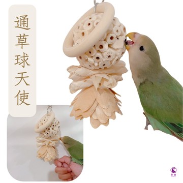 香濃❤通草球天使 天然材料健康護航 通草球啃咬 安全健康玩具 植物解悶 鳥玩具 啃咬玩具