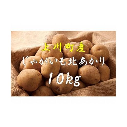 ふるさと納税 北海道 上川町 じゃがいも北あかり（Ｌ）10kg