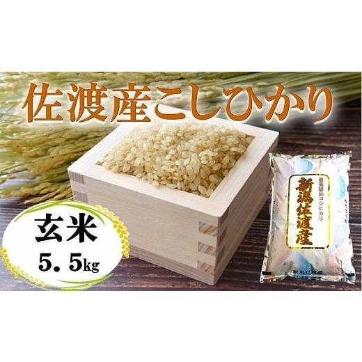 ふるさと納税 新潟県 佐渡市 佐渡産こしひかり 玄米 5.5kg