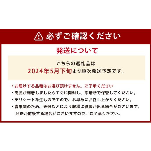 ふるさと納税 熊本県 熊本市 熊本県産 小玉すいか ＆ 肥後グリーンメロン 各1玉 果物 フルーツ セット ギフト 贈答品 贈り物