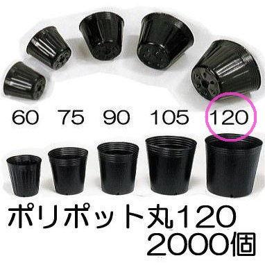 (2000個入特価) ポリポット 12cm ポリ鉢 (スベールポット) 黒丸 120 底穴1 口径120mm×98mm 中部農材　zs