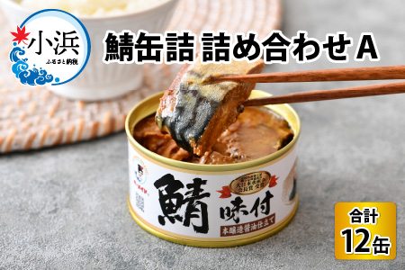 鯖缶詰12缶詰め合わせA 180g × 12缶 本醸造醤油仕立て 唐辛子 生姜 味噌煮 水煮 サバ缶 [B-003031]