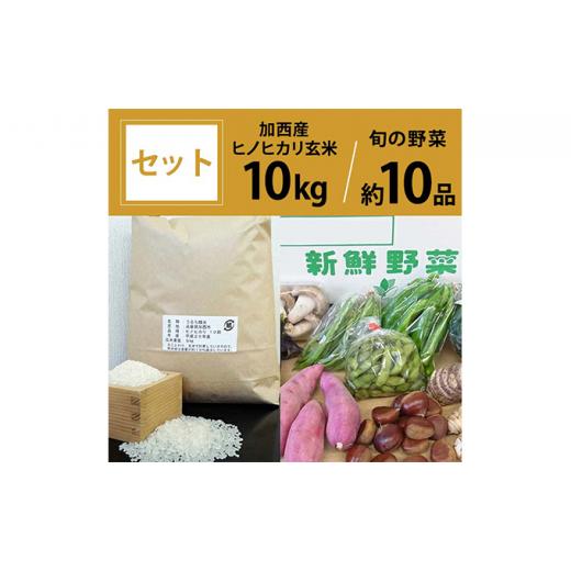 ふるさと納税 兵庫県 加西市 加西産ヒノヒカリと季節の野菜詰め合わせ